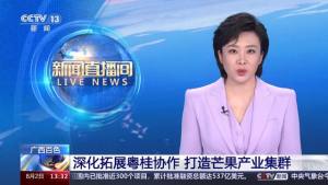 冰凉一夏TV电视版app下载图片1