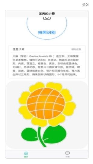 发光的小葵扫描app图2