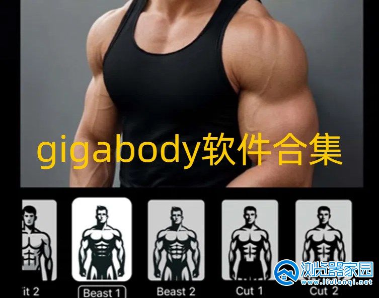 gigabody软件合集