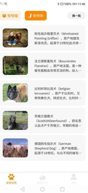 幸福爱看app安卓版图片1