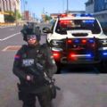 模拟警察巡逻游戏手机版 v1.01