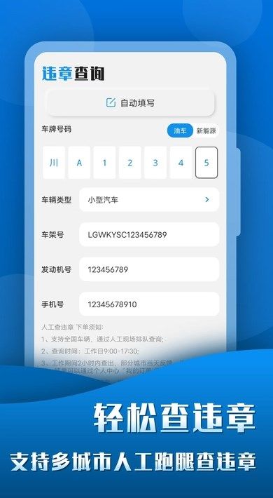 人工查违章123 app图1