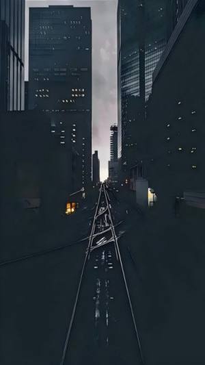 天天新壁纸app安卓版下载图片1