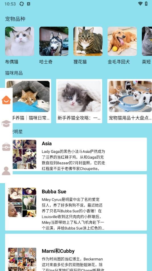 密聊猫咪app图1