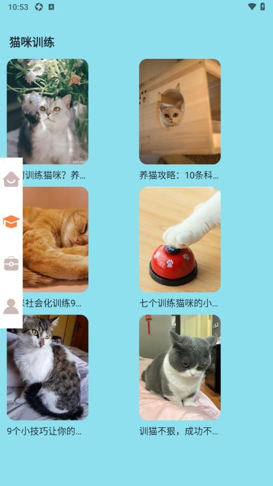 密聊猫咪app图3