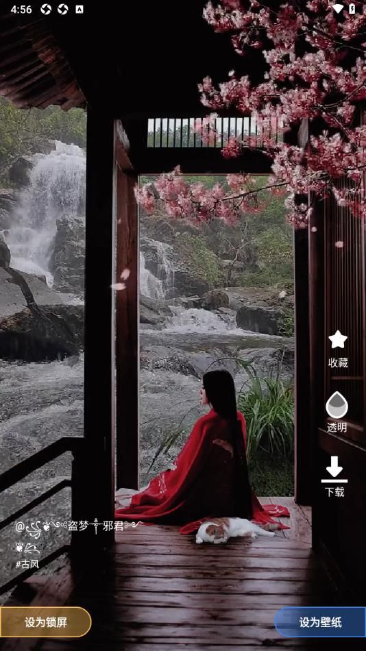 熊猫免费壁纸app图3