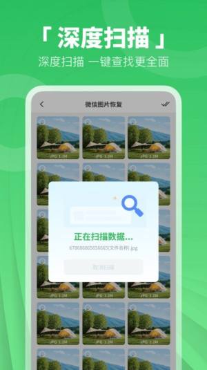 免费照片视频恢复app图3