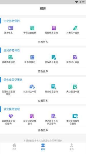 辽宁社保查询个人账户查询官方app下载(辽宁人社)图片1