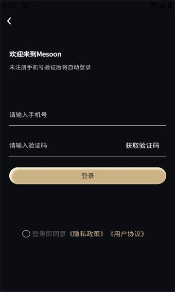 Mesoon app图1