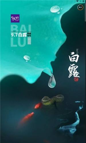 紫夫马平台软件图片1