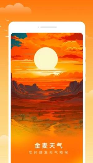 金麦天气软件图片1