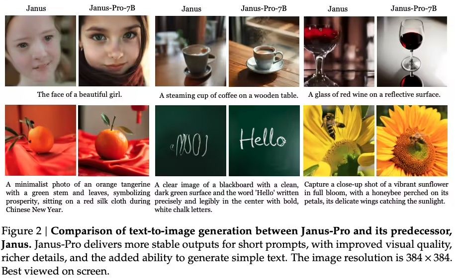 DeepSeek再放大招Janus-Pro-7B 开源[多图]图片2