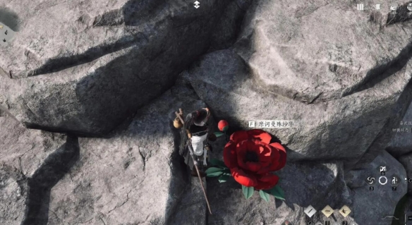 燕云十六声一花中愿任务怎么做 来生岸之一花中愿如何完成[多图]图片4