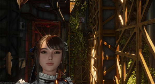 剑星猫咪摄影展全猫咪位置汇总 猫咪摄影展猫咪位置在哪里图片2