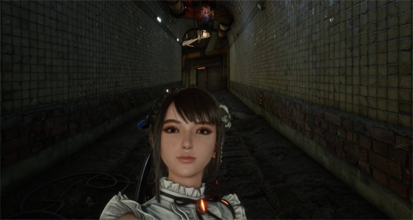 剑星猫咪摄影展全猫咪位置汇总 猫咪摄影展猫咪位置在哪里图片5