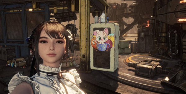 剑星猫咪摄影展全猫咪位置汇总 猫咪摄影展猫咪位置在哪里图片11