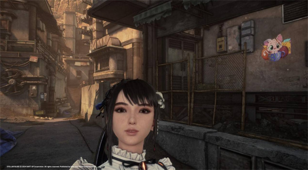 剑星猫咪摄影展全猫咪位置汇总 猫咪摄影展猫咪位置在哪里图片7