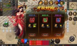 九龙战天传世手游官方正版图片1