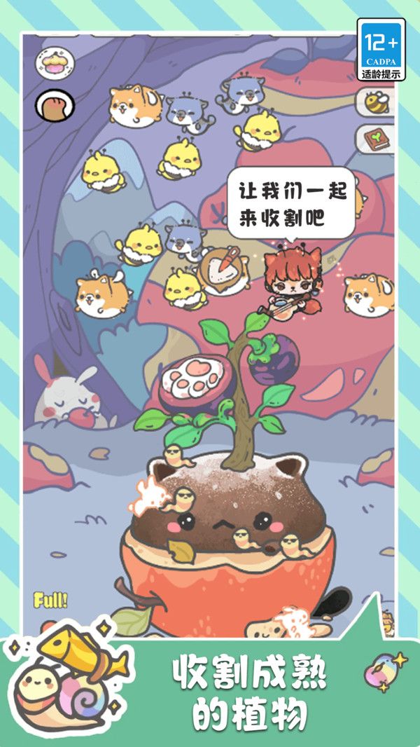 萌猫奇妙世界最新版图2