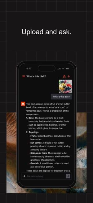 Le Chat聊天机器人客户端app官方下载图片1