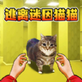 猫咪一起挤游戏