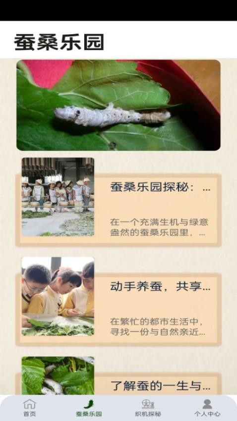 金丝桑田软件图3