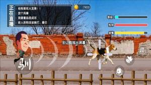 玩狗园区免广告版下载图片1