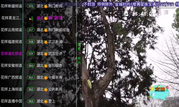 花样TV图3