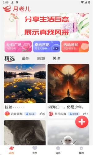 月老儿软件下载免费版图片1