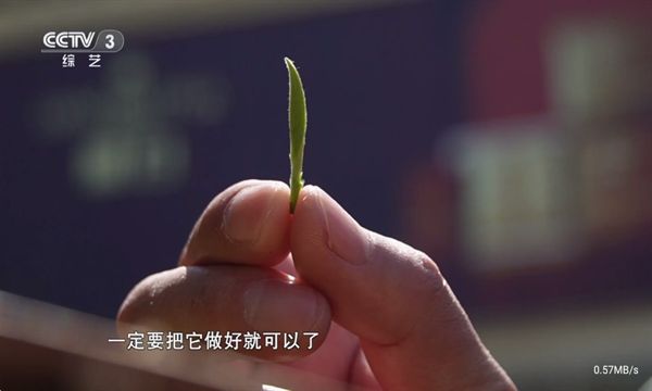 仙女TV影院最新版本下载安装图片1