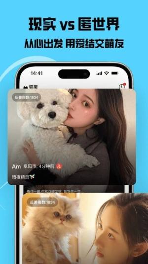 猫匿交友下载最新版图片1