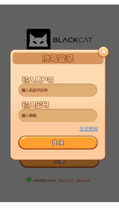 黑猫天气助手图3