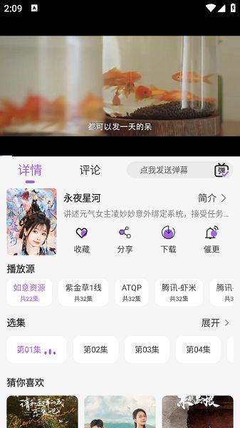 紫金草视频图3