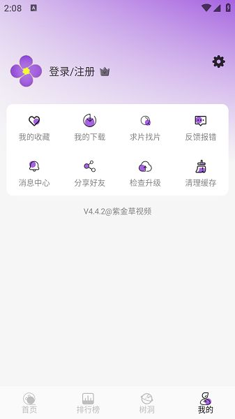 紫金草视频图2