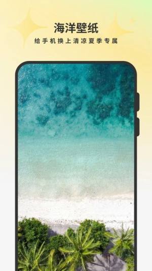 桌面壁纸精美安卓版app下载图片2