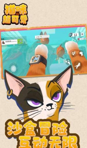 猫咪超可爱游戏下载图片1