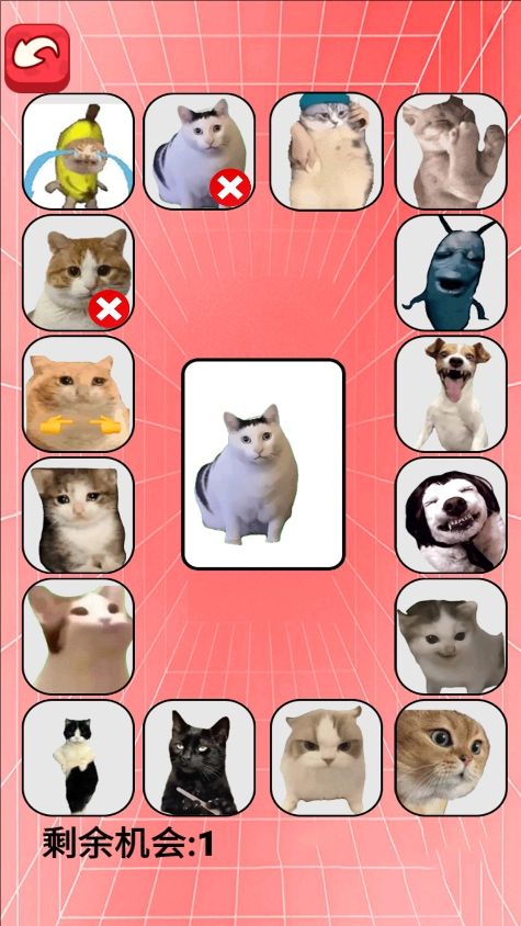 猫meme考试免广告版下载图片4