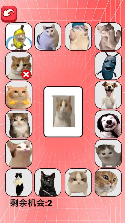 猫meme考试免广告版下载图片1
