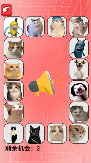 猫meme考试免广告版下载图片2