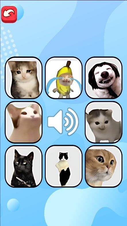 猫meme考试免广告版下载图片3