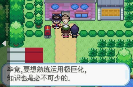 口袋妖怪剑盾10.2金手指最新版下载图片2