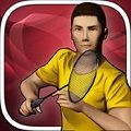 Real badminton