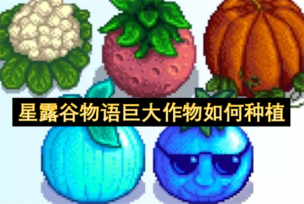 星露谷物语巨大作物怎么种植 巨大作物种植方法[多图]