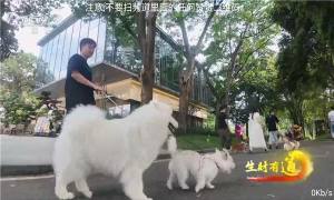 落日TV下载安装免费图片1