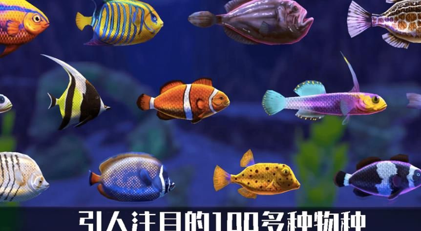 轻松水馆游戏图3