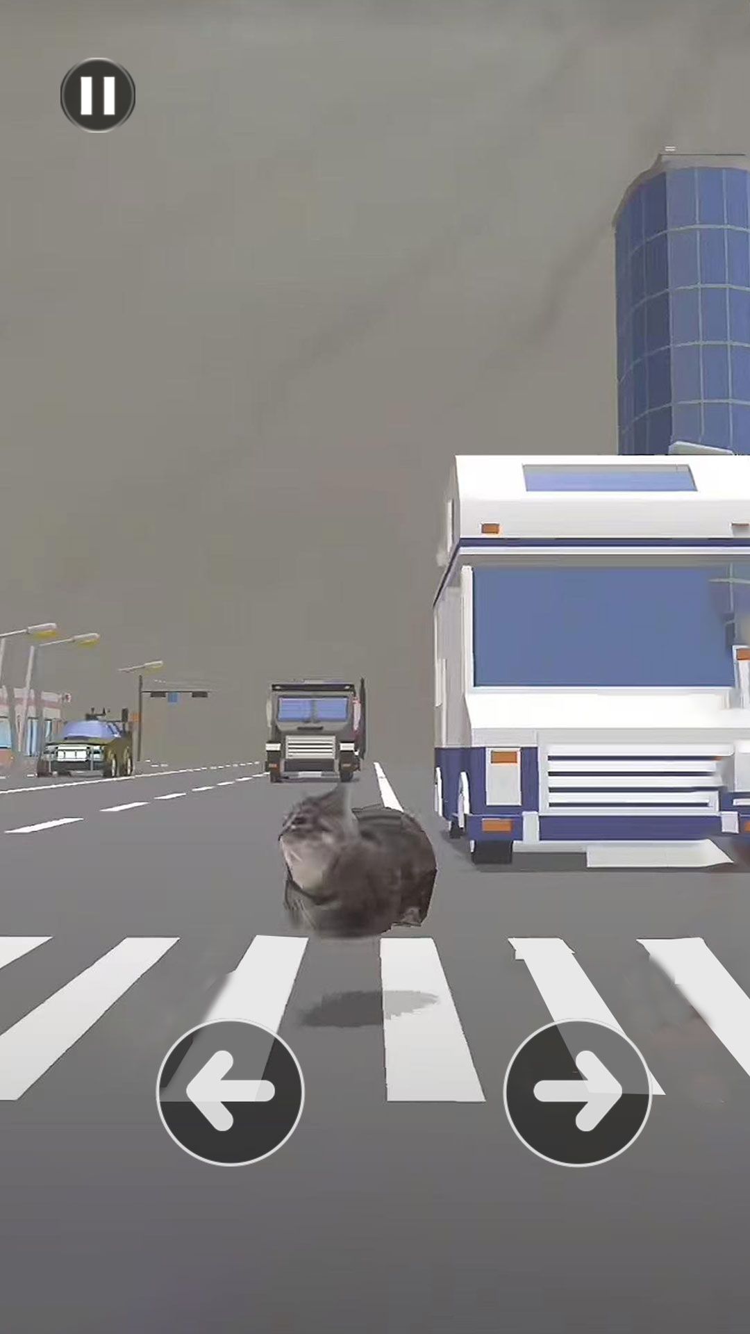 小猫过马路最新版图2