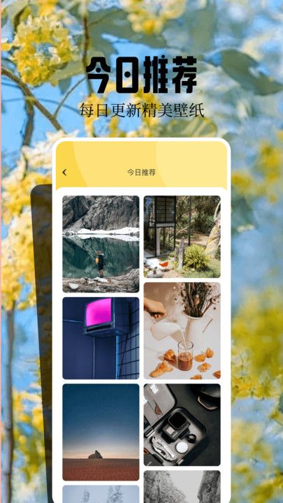 桌面壁纸精灵图2