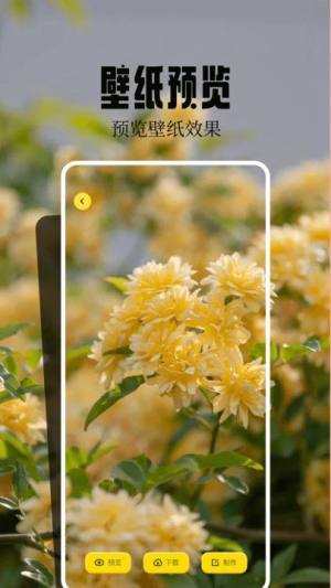 桌面壁纸精灵最新版下载图片1