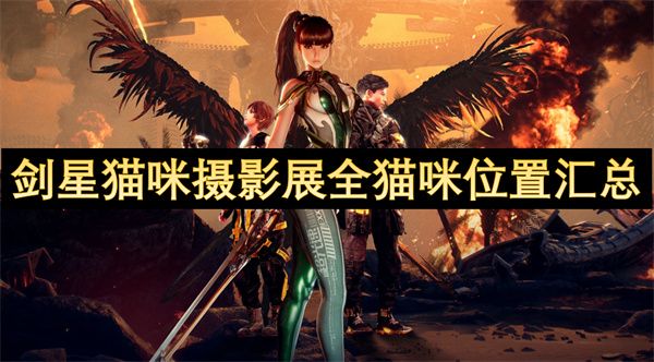 剑星猫咪摄影展全猫咪位置汇总 猫咪摄影展猫咪位置在哪里图片1