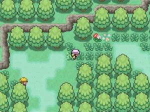 口袋妖怪九重天内置菜单中文汉化版图片1